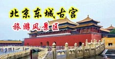 日东北老骚货中国北京-东城古宫旅游风景区